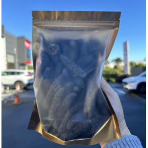 野生南太平洋小黑刺参500克