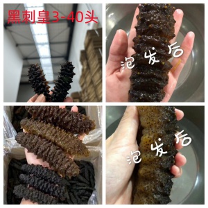 【新西兰仓】海参-澳洲黑刺皇40头左右500克